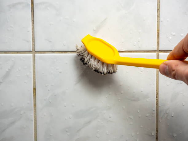 Best Mold Testing  in Prosper, TX
