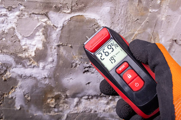 Best Best Mold Removal Companies  in Prosper, TX