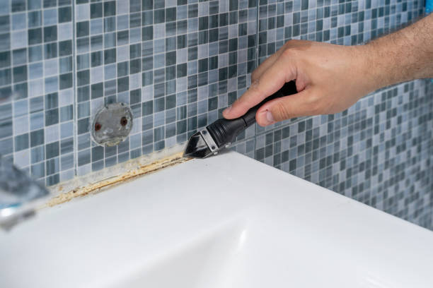 Best Emergency Mold Removal  in Prosper, TX