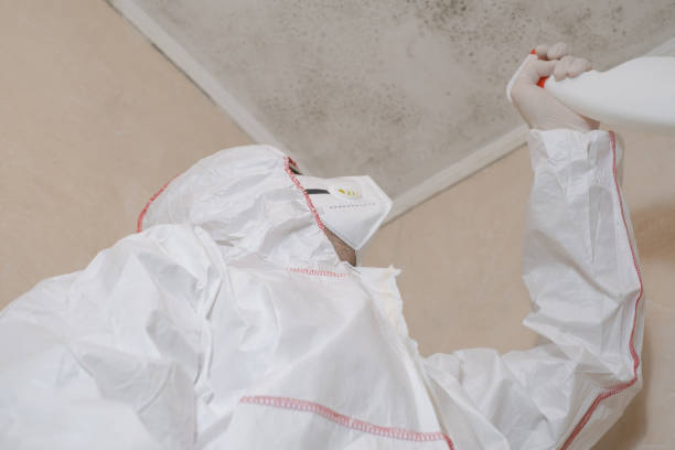Best Certified Mold Removal  in Prosper, TX
