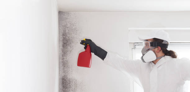 Best Office Mold Removal Services  in Prosper, TX